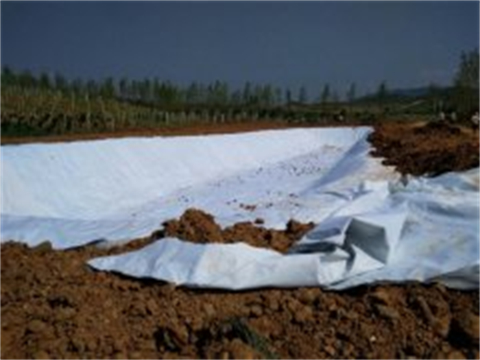 漢中農業蓄水池復合膜防滲案例